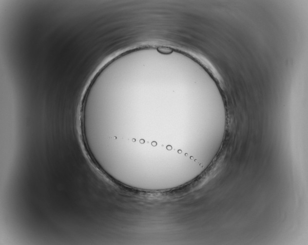 X0000100230903200805300723