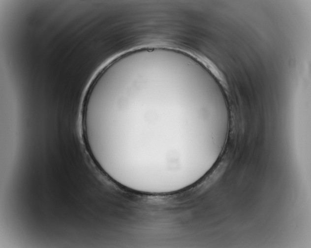 X0000100230904200805300722