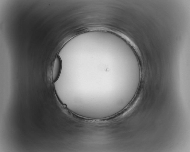 X0000100230905200805300722