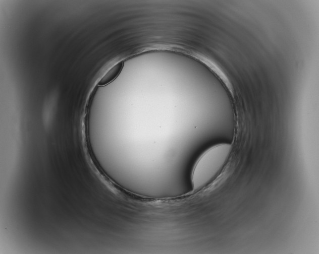 X0000100230906200805300722