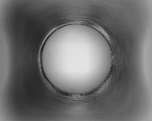 X0000100230907200805300722