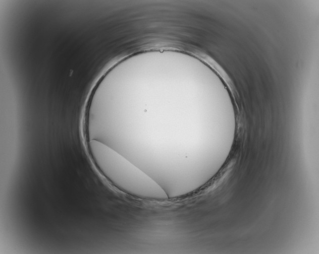 X0000100230909200805300722