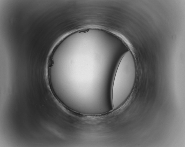 X0000100230910200805300722