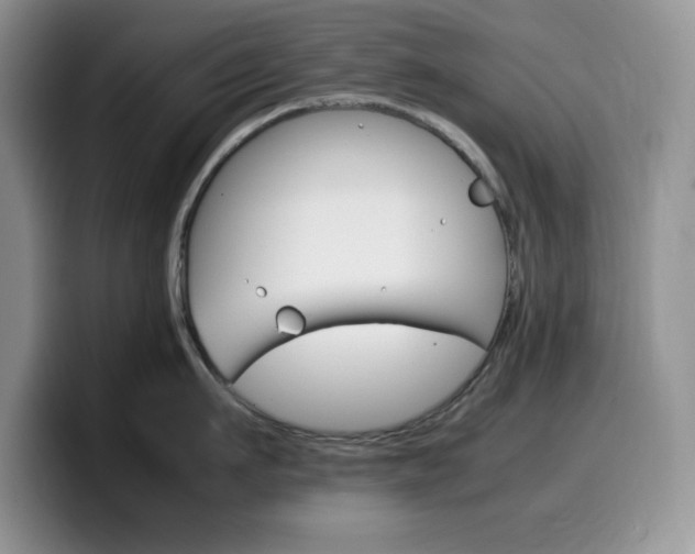 X0000100230911200805300722
