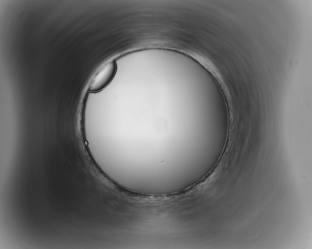 X0000100230912200805300722