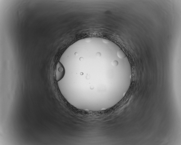 X0000100230913200805300722