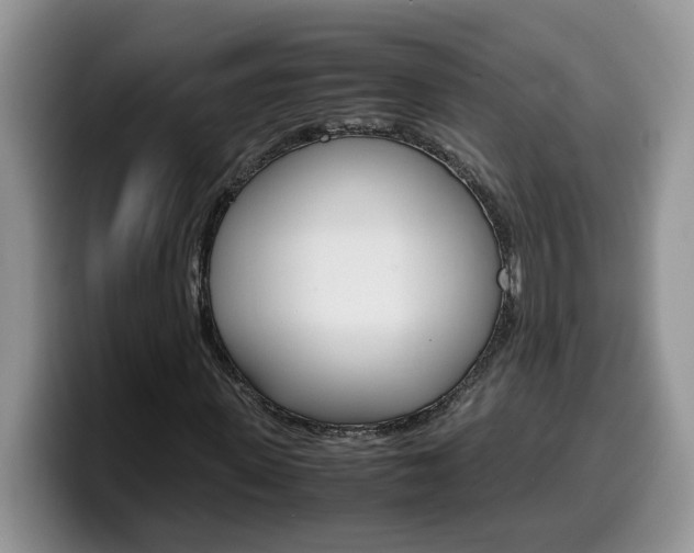 X0000100230915200805300722