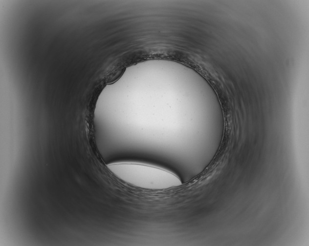X0000100230916200805300722