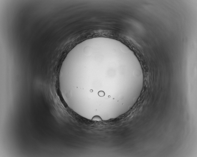 X0000100230917200805300722