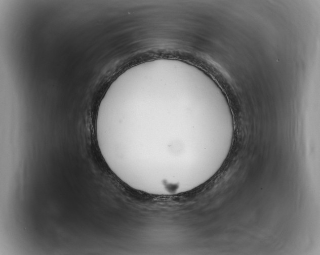 X0000100230918200805300722