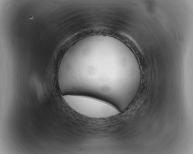 X0000100230919200805300722