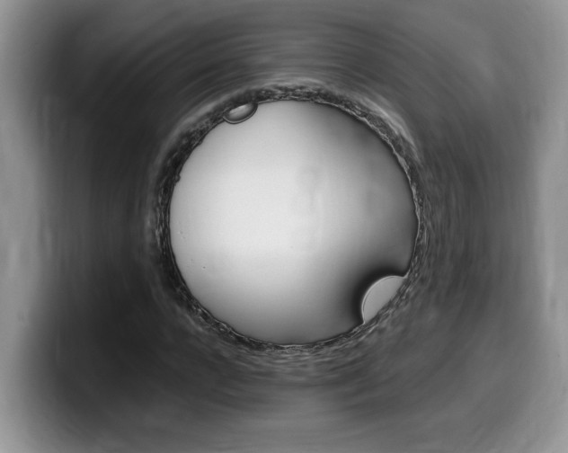 X0000100230920200805300722