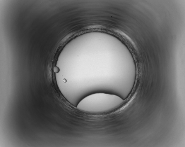 X0000100230921200805300722