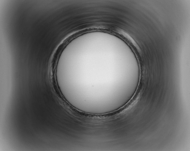 X0000100230923200805300722