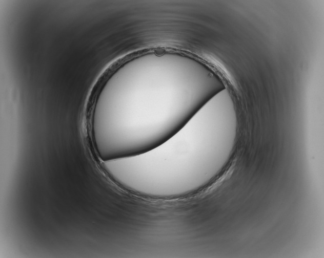 X0000100230924200805300722