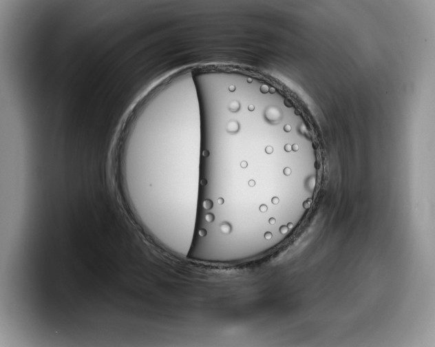 X0000100230925200805300722