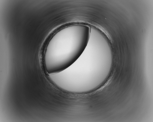X0000100230926200805300722