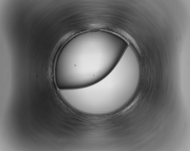 X0000100230930200805300722