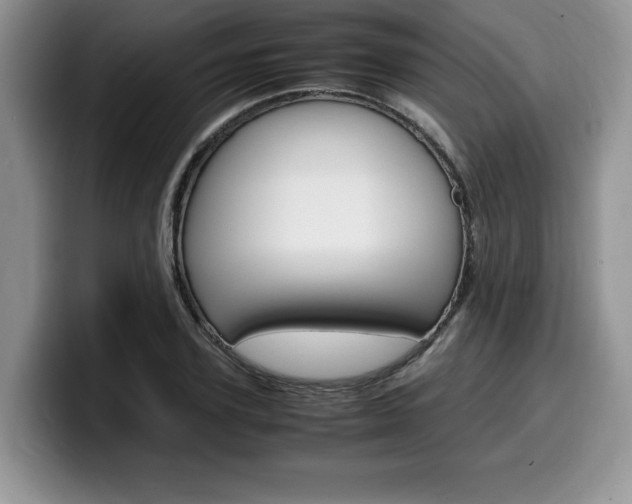 X0000100230931200805300722