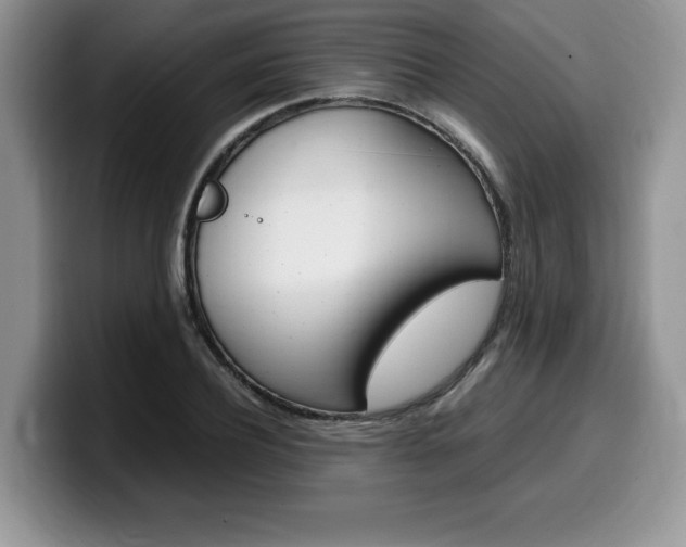 X0000100230932200805300722