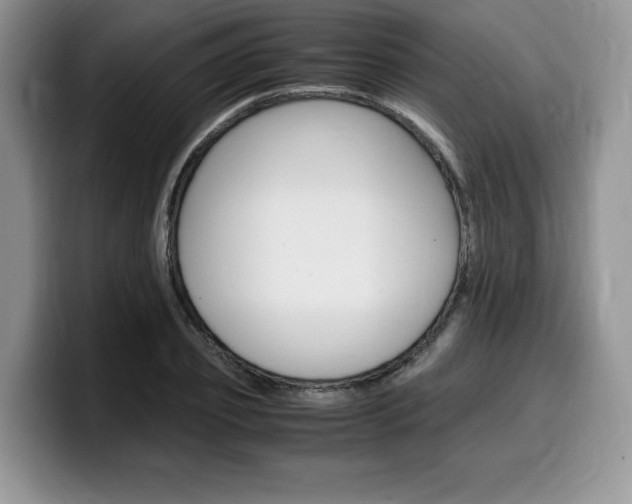 X0000100230933200805300722