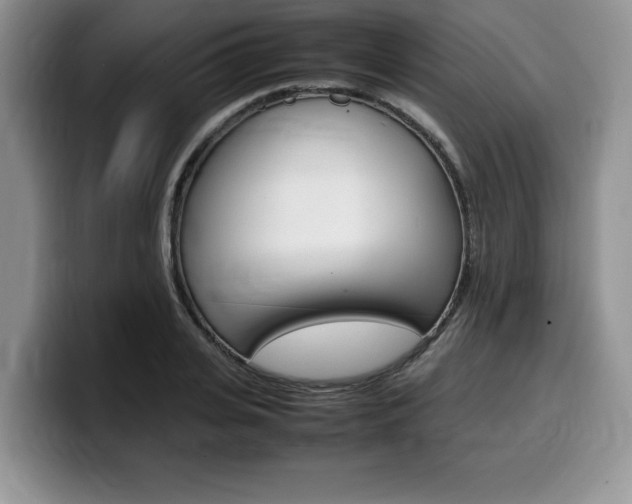 X0000100230935200805300722
