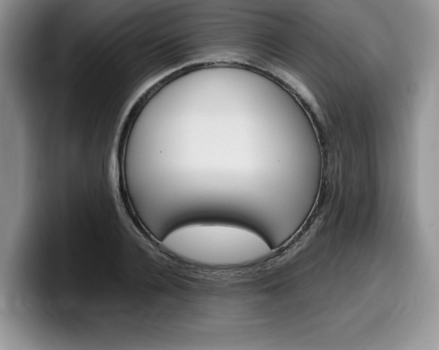 X0000100230936200805300722