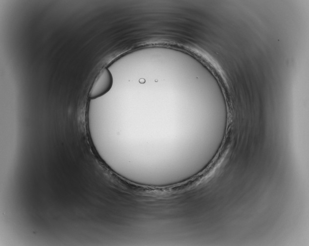 X0000100230937200805300722