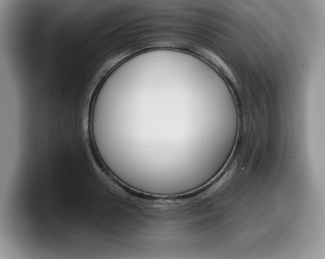 X0000100230938200805300722
