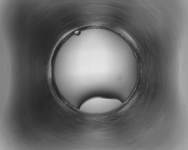 X0000100230940200805300722