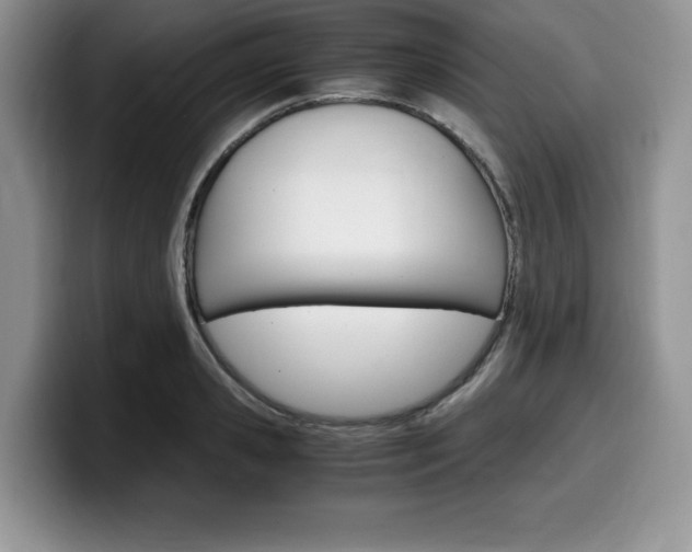 X0000100230941200805300722