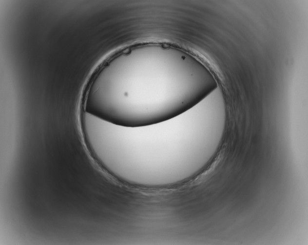 X0000100230942200805300722