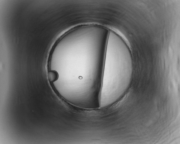 X0000100230943200805300722