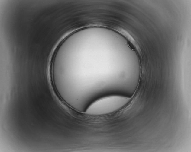 X0000100230947200805300722