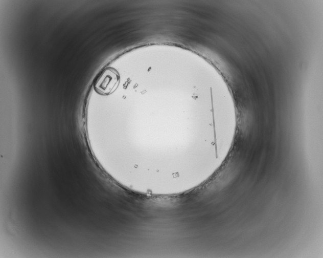 X0000100230950200805300722
