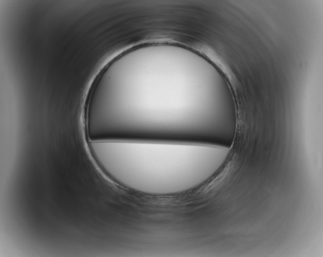 X0000100230951200805300722