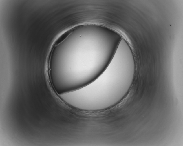 X0000100230952200805300722