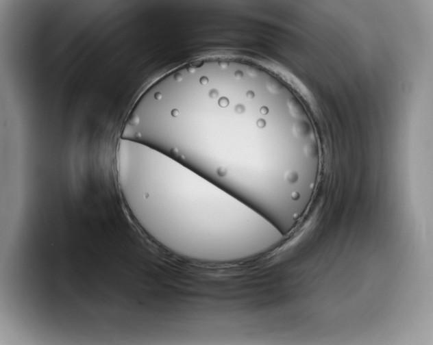 X0000100230953200805300722