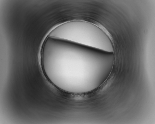 X0000100230955200805300722
