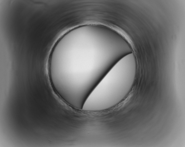 X0000100230958200805300722