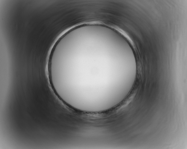 X0000100230959200805300722
