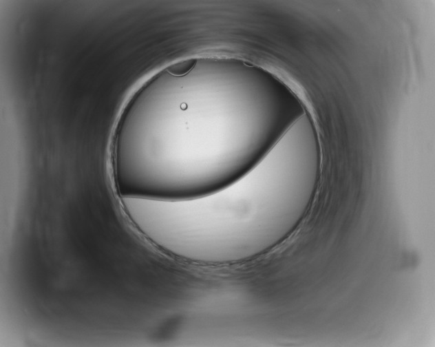 X0000100230960200805300722
