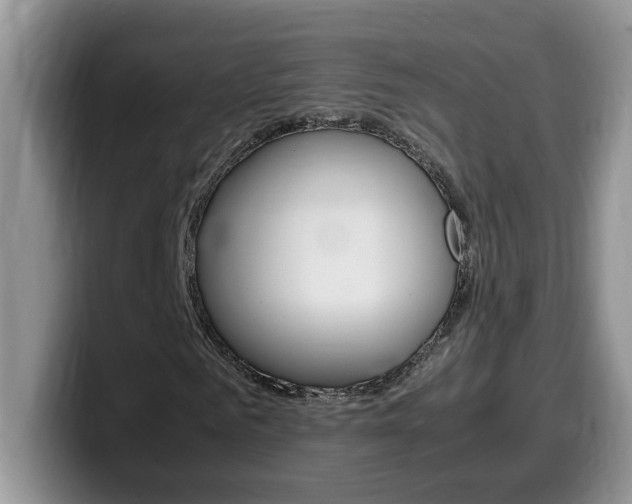 X0000100230961200805300722