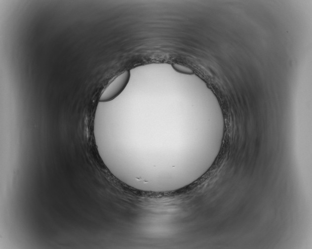 X0000100230962200805300722
