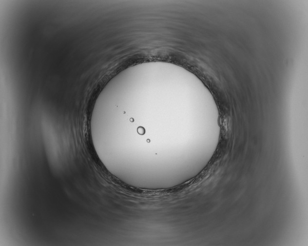 X0000100230963200805300722