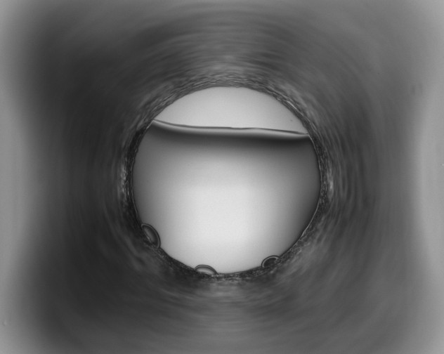 X0000100230964200805300722