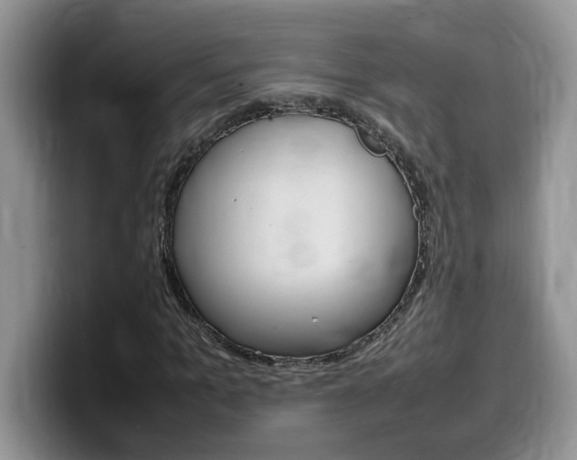 X0000100230965200805300722