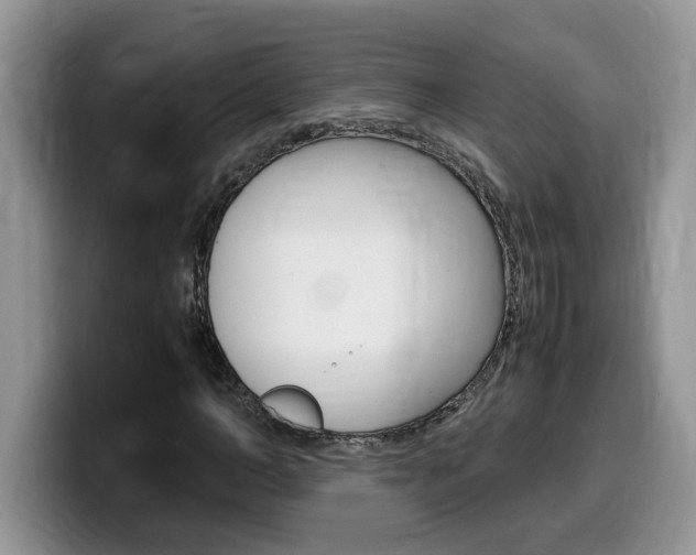 X0000100230966200805300722