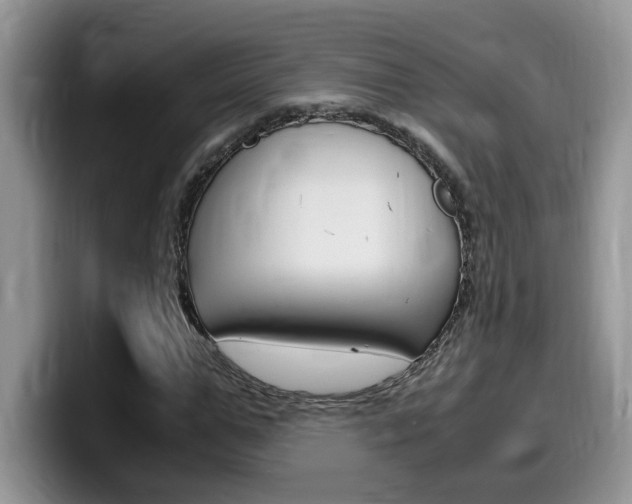 X0000100230967200805300722