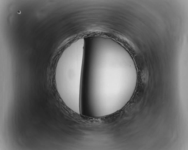 X0000100230968200805300722
